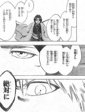 【悲報】尸魂界（ソウルソサエティ）、終わる\n_1