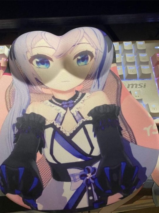 【画像】ライザの等身大太ももパッドwwywyywwwywwyywywwywyywwywyywwyywwywy\n_1