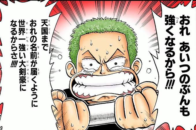 【悲報】ワンピースのゾロの親友はくいな派かルフィ派かサンジ派かで大論争が巻き起こってしまう\n_1