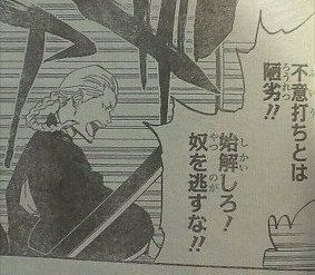 護廷十三隊の隊長、副隊長の中で一人だけ無能が混ざってるよな\n_3