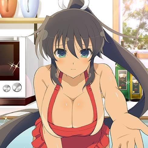 【画像】閃乱カグラで1番人気のとってもかわいい女の子😍\n_1