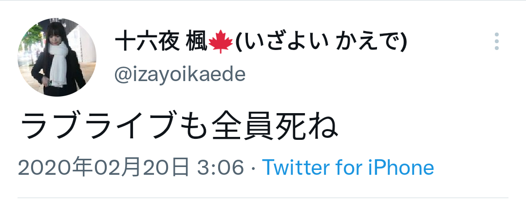 彡(●)(●)「ラブライブのファンオフ会行ったけどキャストにびっくりしてわーって叫んで逃げちゃった」\n_1