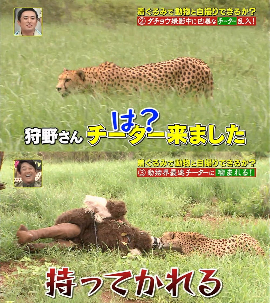 【画像】虎に右腕を食べられたまんさん、めちゃシコ美人だったwwwwwwwwwwww\n_2