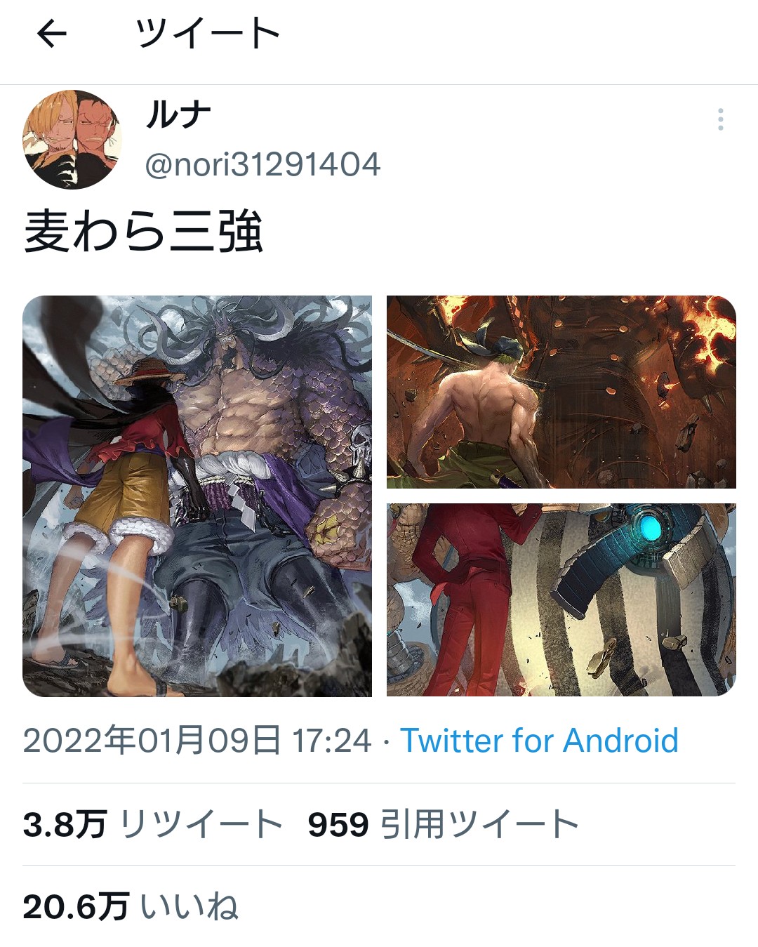 【悲報】ワンピースで麦わらの一味はロビンまでみたいな風潮\n_4