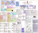 Thumbnail of post image 016