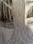 Thumbnail of post image 045
