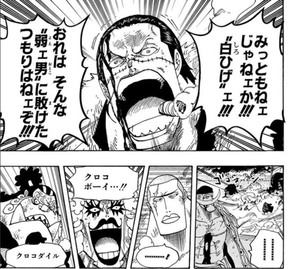 ワンピースの頂上決戦編見てるんだが白ひげとエースって無駄○にだよな？\n_1