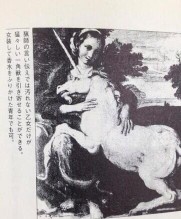 ユニコーン「処女しか乗せません」フェミ「ｷｴｴｴｴｴｴ！(ユニコーンに跨る)」\n_1
