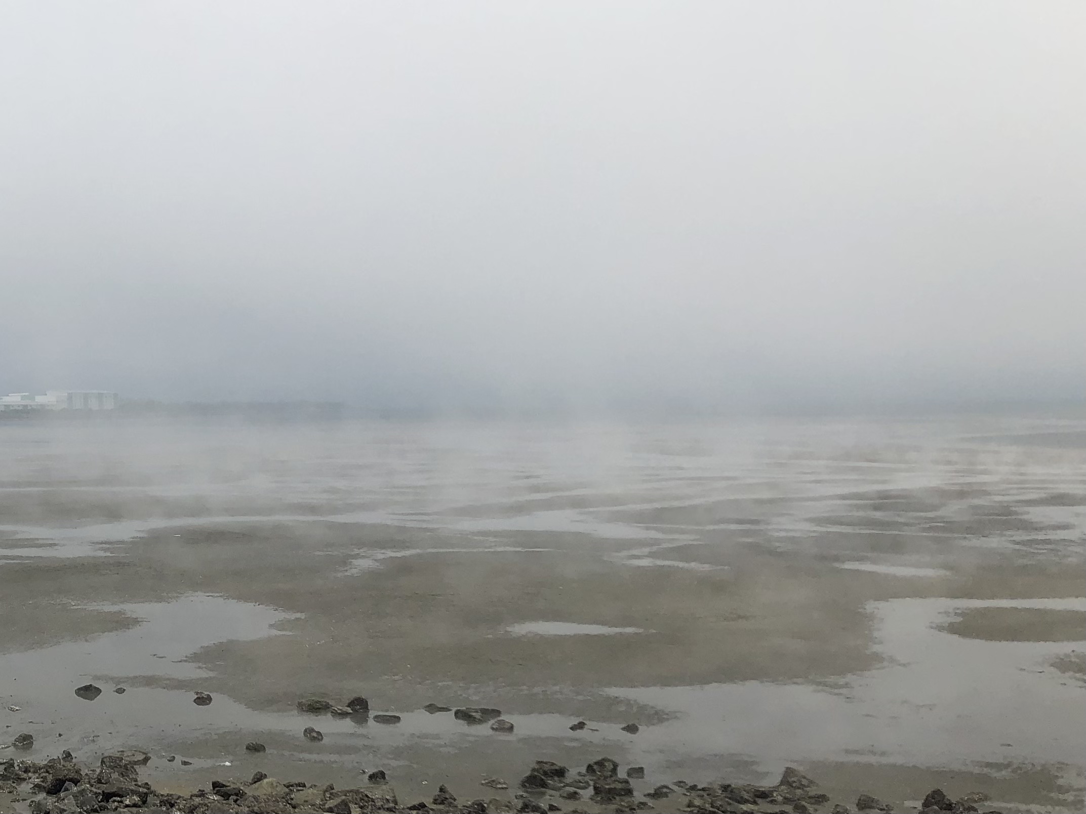 【画像】暑すぎて田んぼの水が熱湯に→ザリガニがボイルされてしまう\n_1