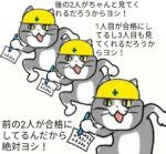 Thumbnail of post image 021