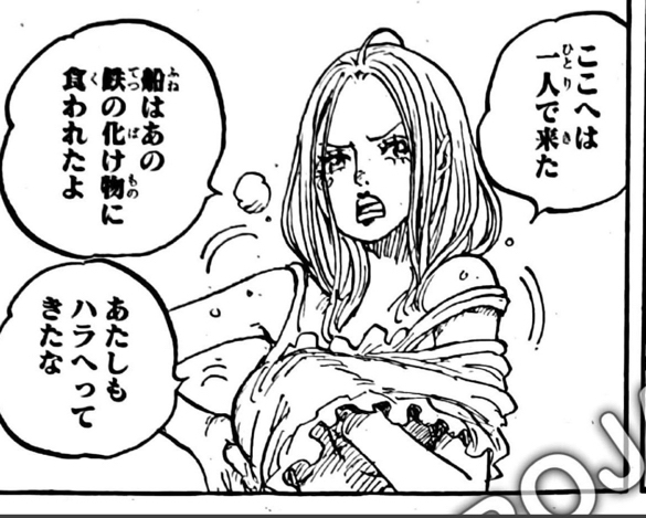 【画像】読者「あの…ナミさんが好きで…」尾田先生「シコってるんでしょw分かってる。全然いいよ」\n_1