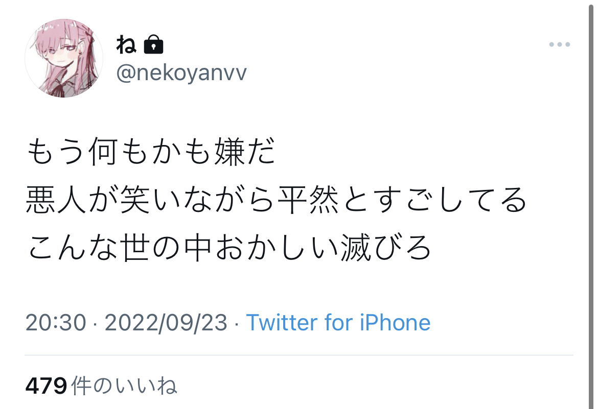 【悲報】元潤羽るしあ「涙が止まらない」「もう何もかも嫌だ」「こんな世の中おかしい」\n_1