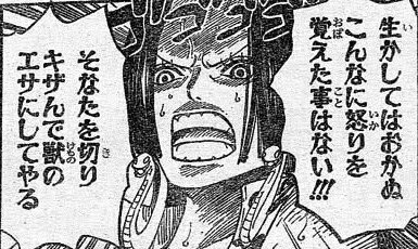 【悲報】ニコ・ロビンの過去wywywywywywywywy\n_1
