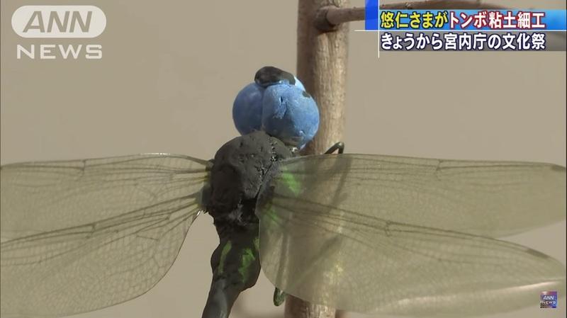 【悲報】悠仁「トンボの研究したいから東大に行きてンだわ」\n_1