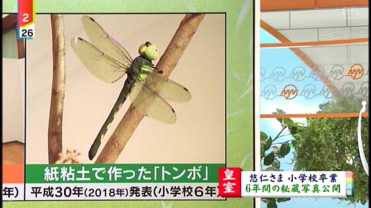 【悲報】悠仁「トンボの研究したいから東大に行きてンだわ」\n_1