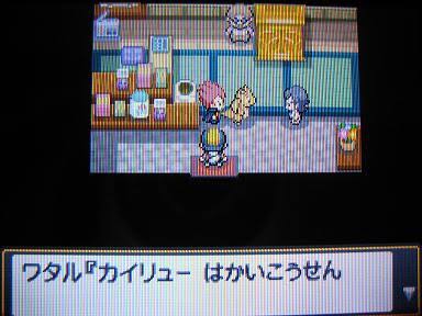 【急募】カイリューを○せるポケモン\n_1