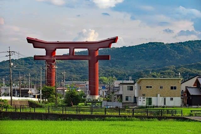 【画像】牛久の大仏が思ったよりデカい、お前らの想像する10倍はデカいｗｗｗｗｗｗｗｗｗ\n_1