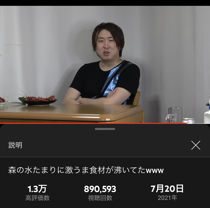 【朗報】バウアーさん、日本一のYouTuberの再生数を6時間でぶち抜く \n_2