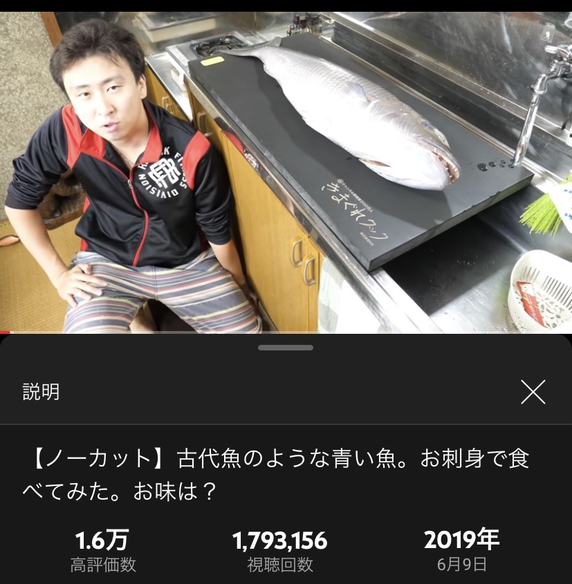 【朗報】バウアーさん、日本一のYouTuberの再生数を6時間でぶち抜く \n_3