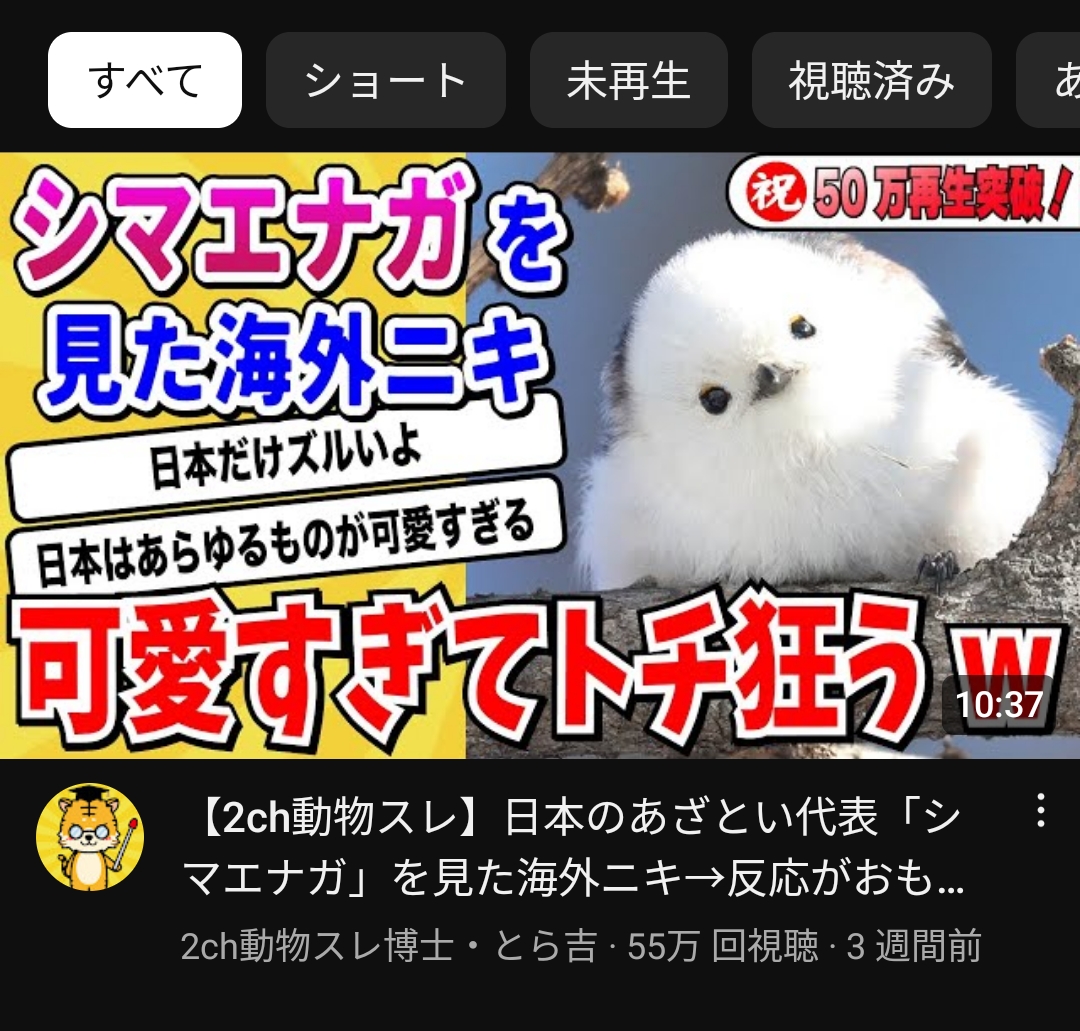 日本の鳥『シマエナガ』白人様にバレるwwwwwwwwwwwwwwwwwwwwwww \n_2