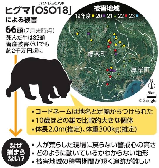 本州にヒグマがいない理由、ガチでわからない \n_2