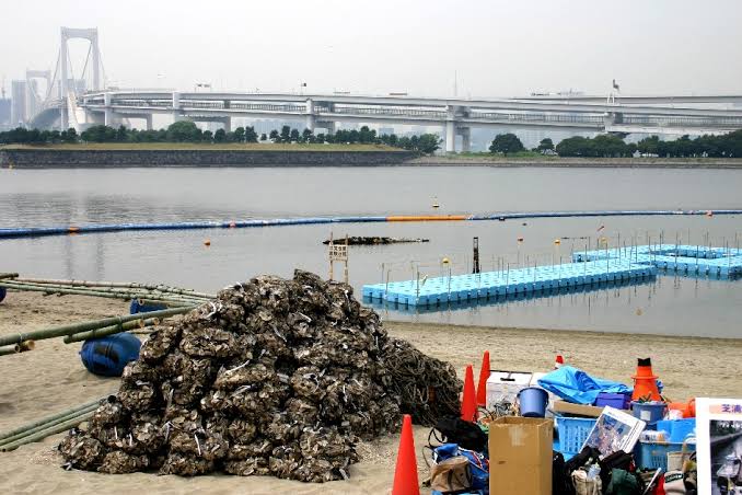 【悲報】道頓堀川で大腸菌検出 \n_2