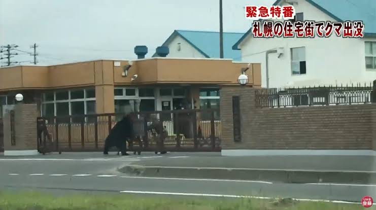 【画像】秋田県、熊に制圧されるwwwwwwwwwwwwwwwwww  [802034645]\n_1