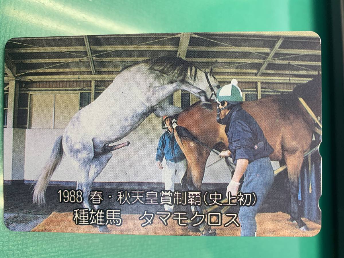 【悲報】女性騎手・今村聖奈さん(19)、ネイルして馬に触り叩かれまくってしまう「馬体に傷がつく」「アイドルと勘違いしてるのか」  [481941988]\n_11
