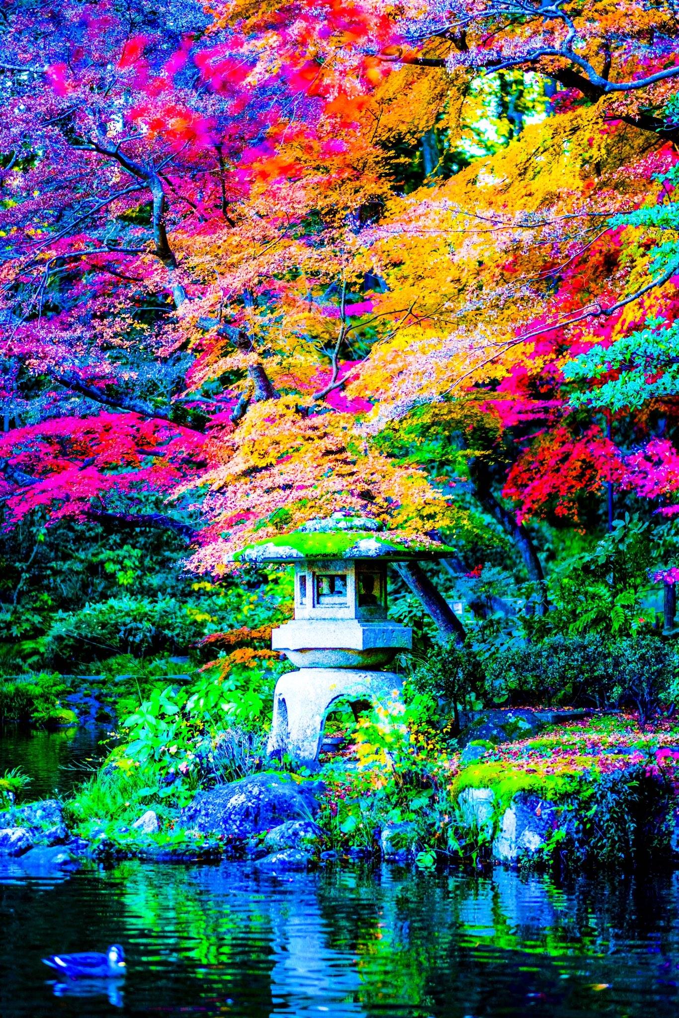 【画像】成田山、美しすぎると話題に  [237216734]\n_1