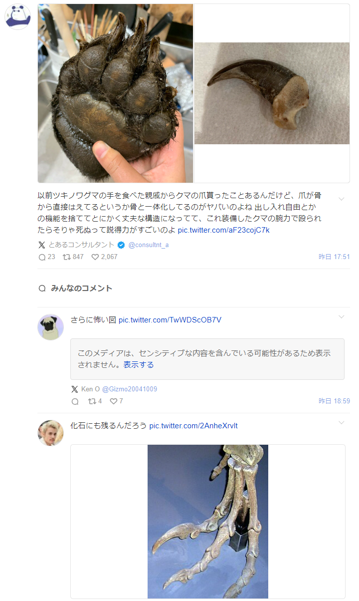 「雑菌だらけのこんな爪でぶん殴られりゃ…致命傷だわな」クマの凶暴性を伝える写真が「エグすぎる」と話題  [511335184]\n_1