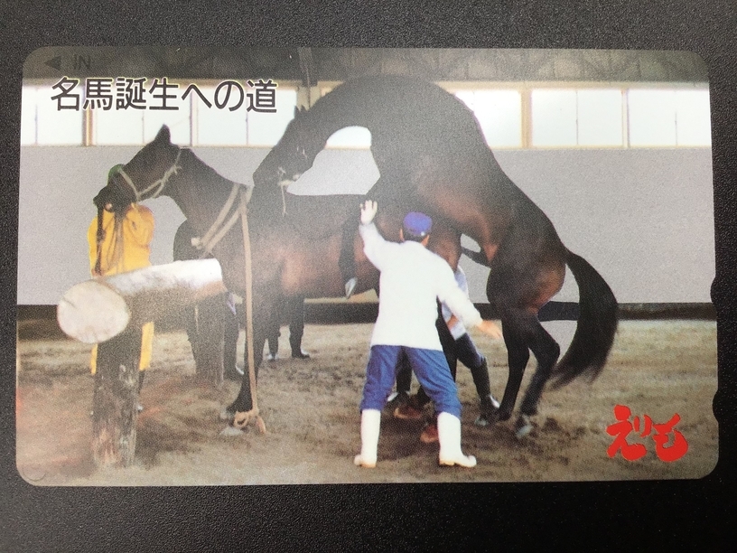 【悲報】女性騎手・今村聖奈さん(19)、ネイルして馬に触り叩かれまくってしまう「馬体に傷がつく」「アイドルと勘違いしてるのか」  [481941988]\n_2