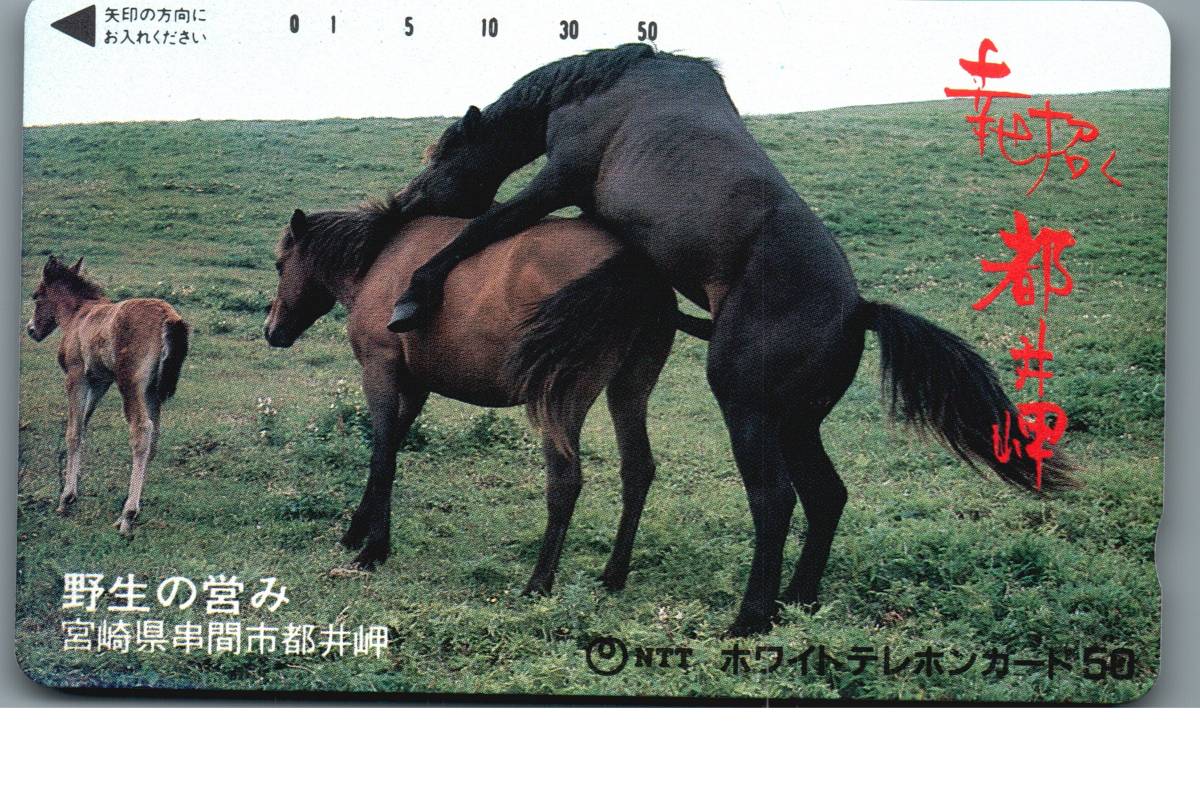 【悲報】女性騎手・今村聖奈さん(19)、ネイルして馬に触り叩かれまくってしまう「馬体に傷がつく」「アイドルと勘違いしてるのか」  [481941988]\n_3