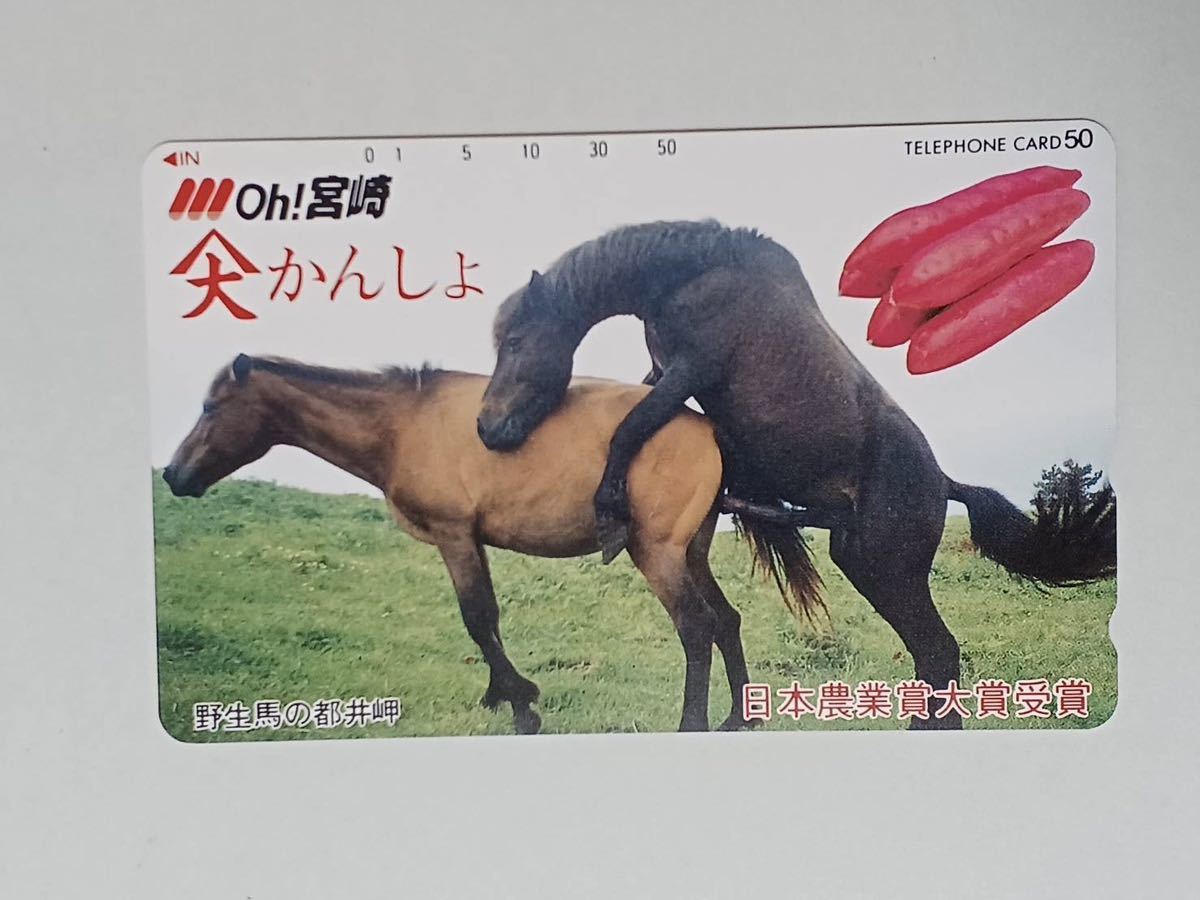 【悲報】女性騎手・今村聖奈さん(19)、ネイルして馬に触り叩かれまくってしまう「馬体に傷がつく」「アイドルと勘違いしてるのか」  [481941988]\n_7