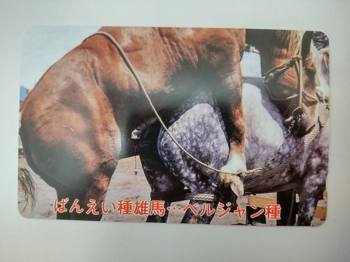 【悲報】女性騎手・今村聖奈さん(19)、ネイルして馬に触り叩かれまくってしまう「馬体に傷がつく」「アイドルと勘違いしてるのか」  [481941988]\n_8