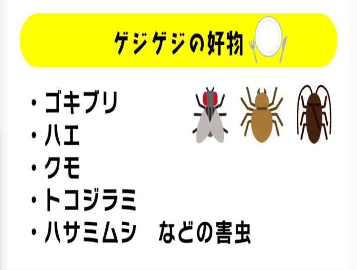 【悲報画像】「トコジラミが好きな場所」ヤバすぎるWXWXWXWXWXWXWXWXWXWXWXWXW  [254373319]\n_1