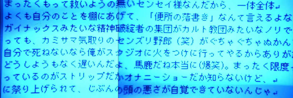 庵野監督「だったらエヴァがどう終わればお前ら満足したんだよ！！」  [618199789]\n_1