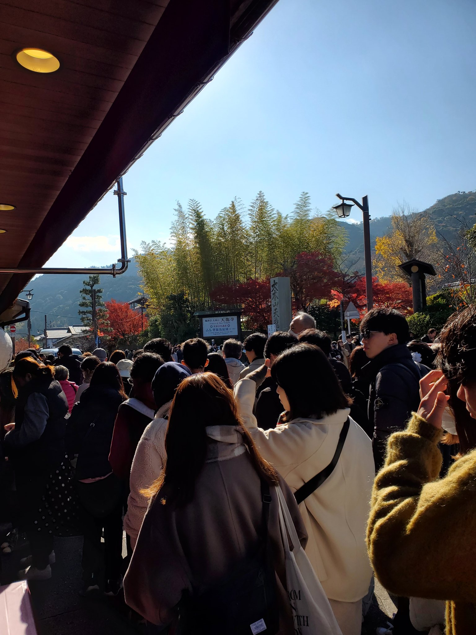【画像】京都、人多すぎて限界突破ｗｗｗｗｗｗｗｗｗｗｗｗｗｗｗｗｗｗｗｗｗｗ \n_3