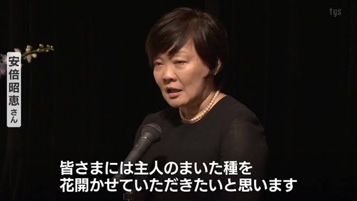 日本マクドナルドのCMが海外でバズった結果、安倍晋三のミームだらけになる  [705564772]\n_1