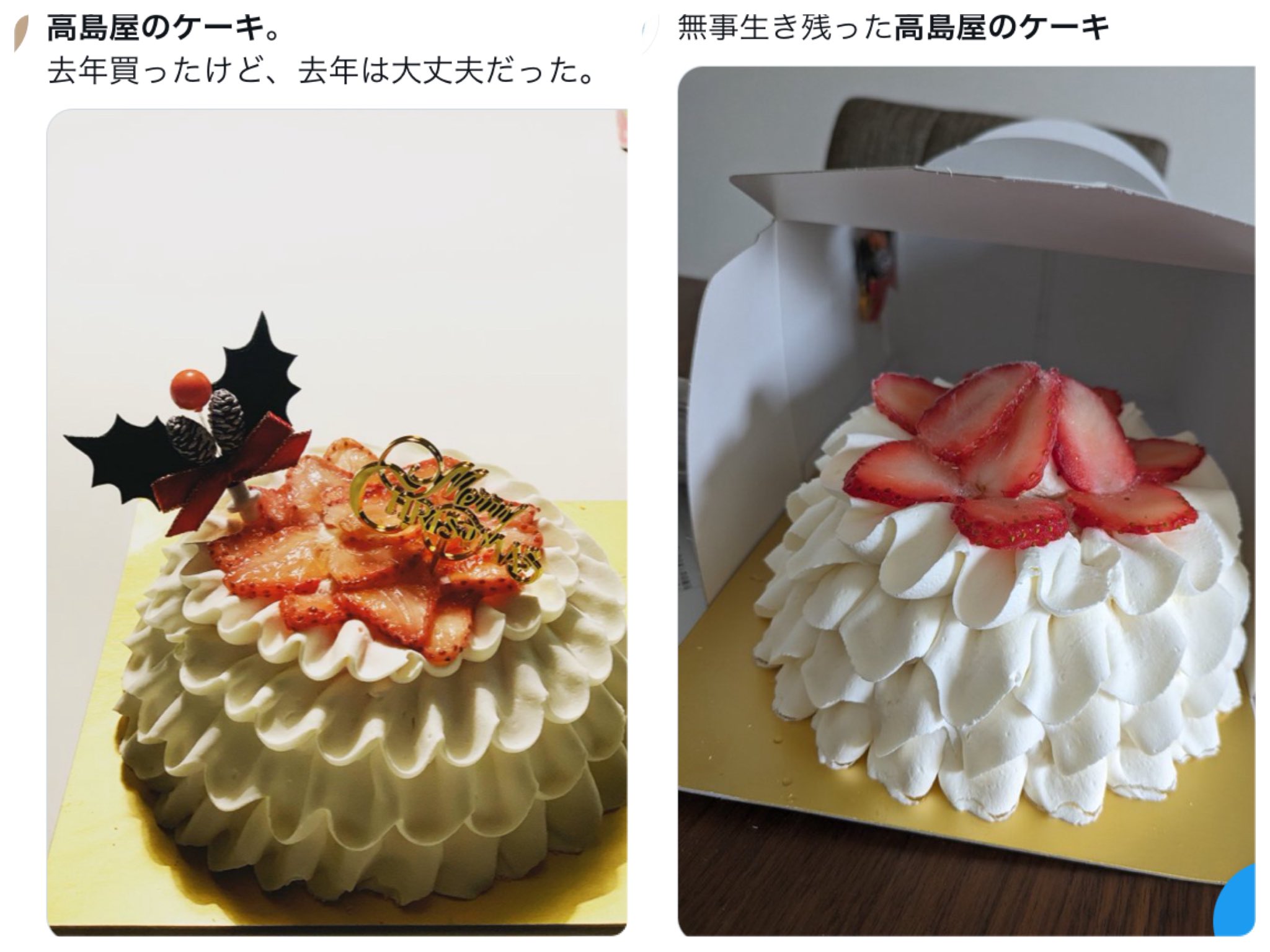 【画像】高島屋のぐちゃぐちゃケーキ、何度見てもひどすぎるｗｗｗｗｗｗｗｗｗｗｗｗｗｗｗｗｗ \n_1