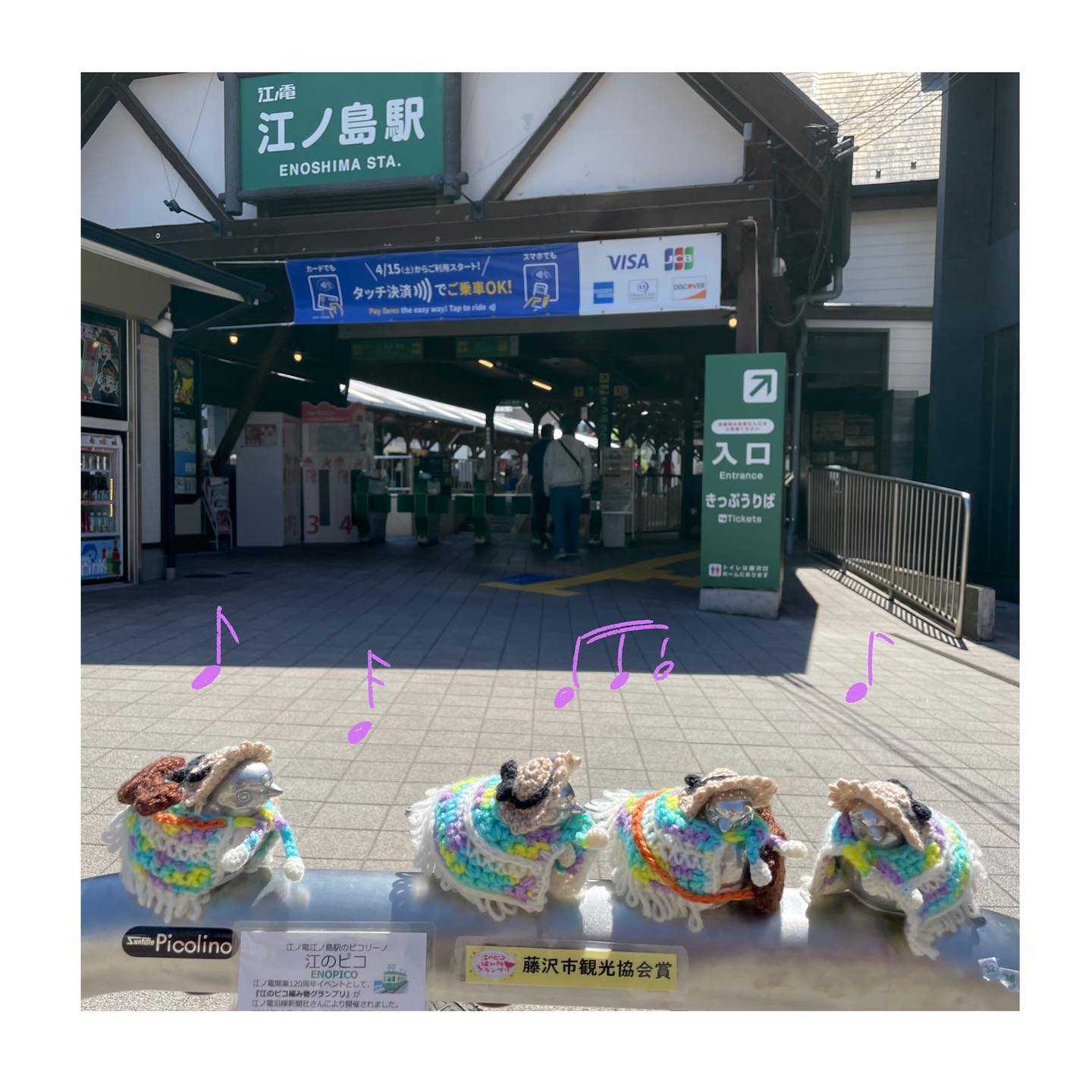 【画像】江ノ島駅で人気という鳥がコチラ  [663277603]\n_1