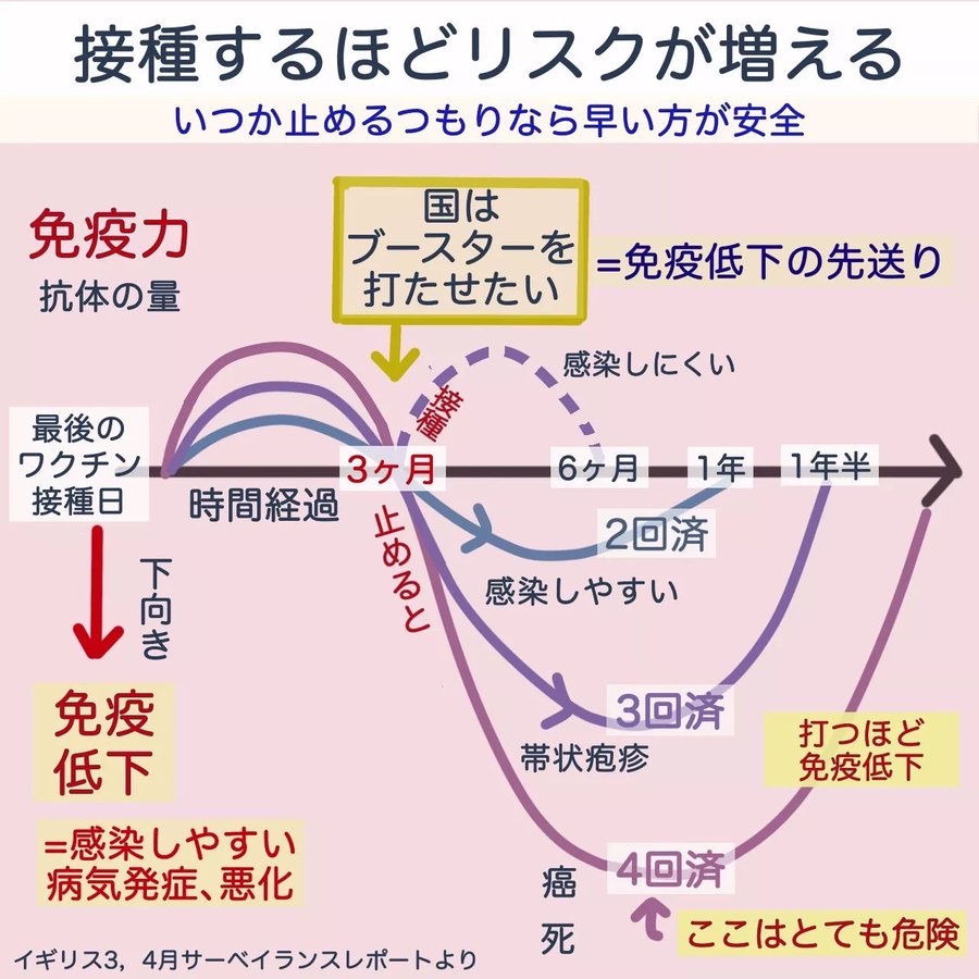 「劇症型溶血性レンサ球菌感染症」の拡大、ガチでヤバいもよう。ただの打撲から感染→○亡  [746833765]\n_2