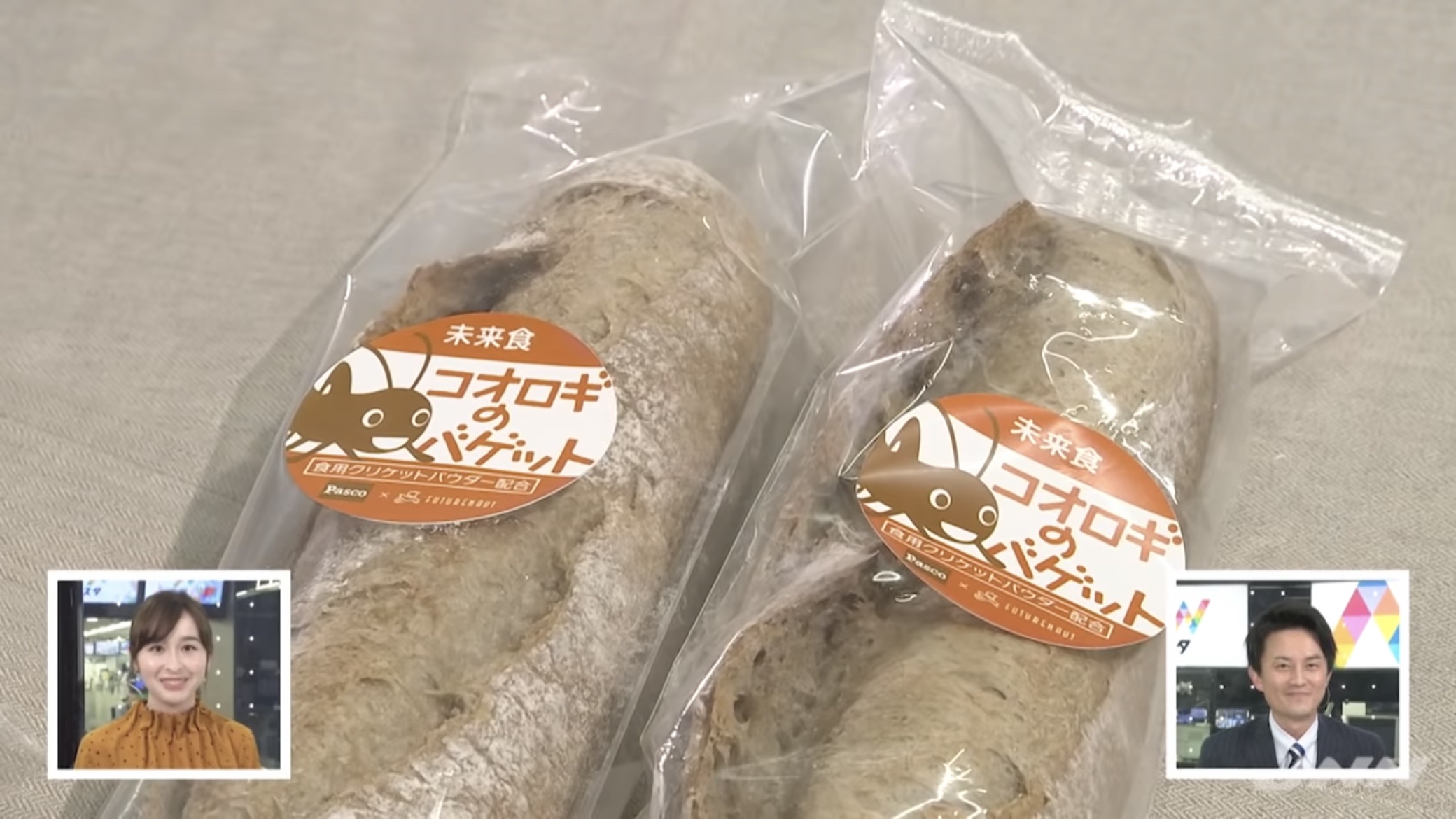 【悲報】食用コオロギ会社、破産 \n_1