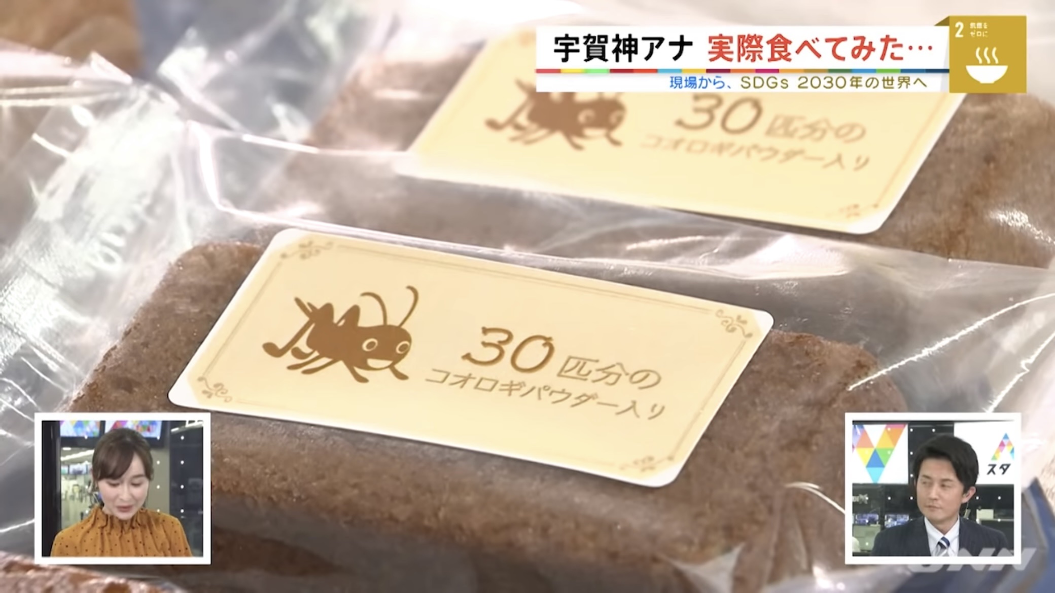 【悲報】食用コオロギ会社、破産 \n_3