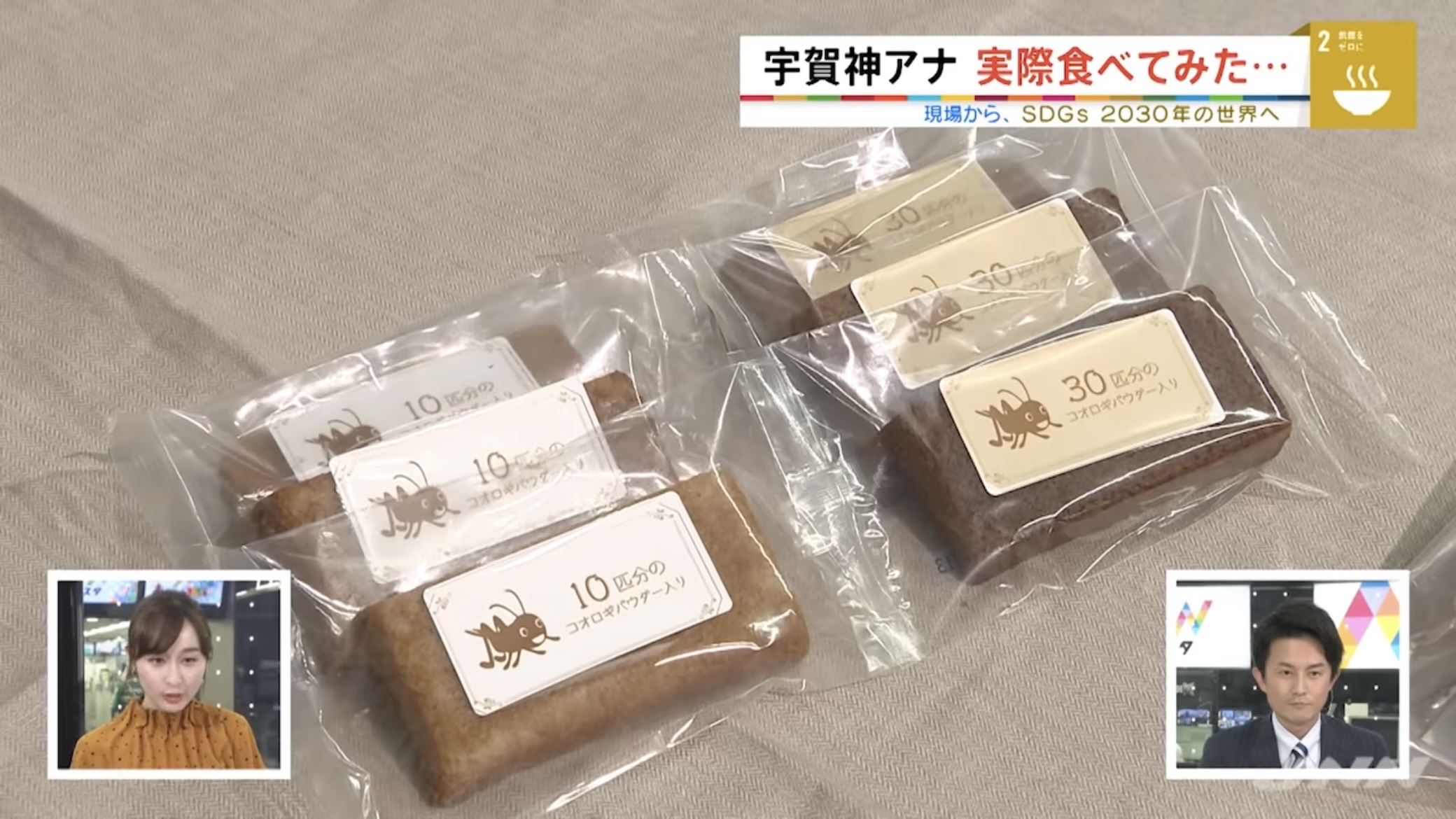 【悲報】食用コオロギ会社、破産 \n_5