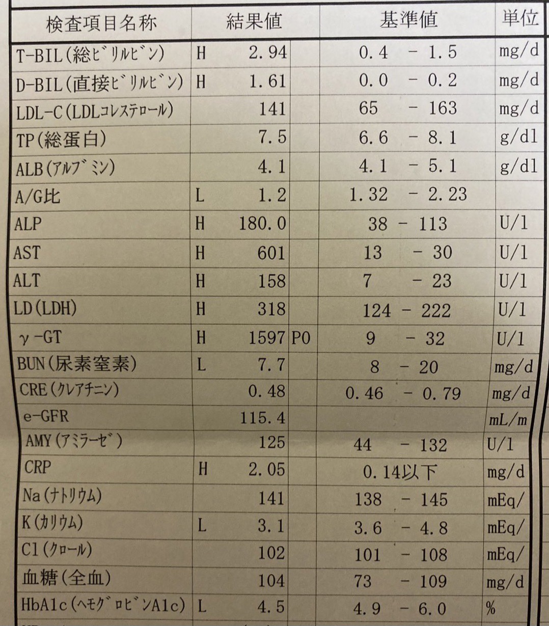 GPTが61で肝機能障害ってゆわれたの🥺どうしたらいいの？  [929293504]\n_1