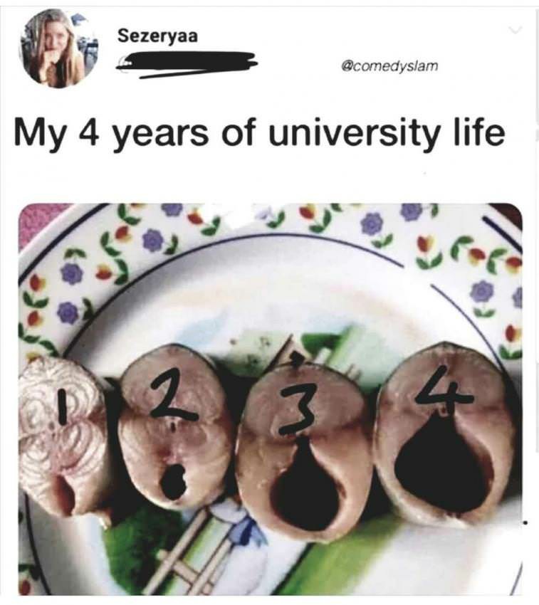 研究：女性は小さなペニスを好む  [377482965]\n_1