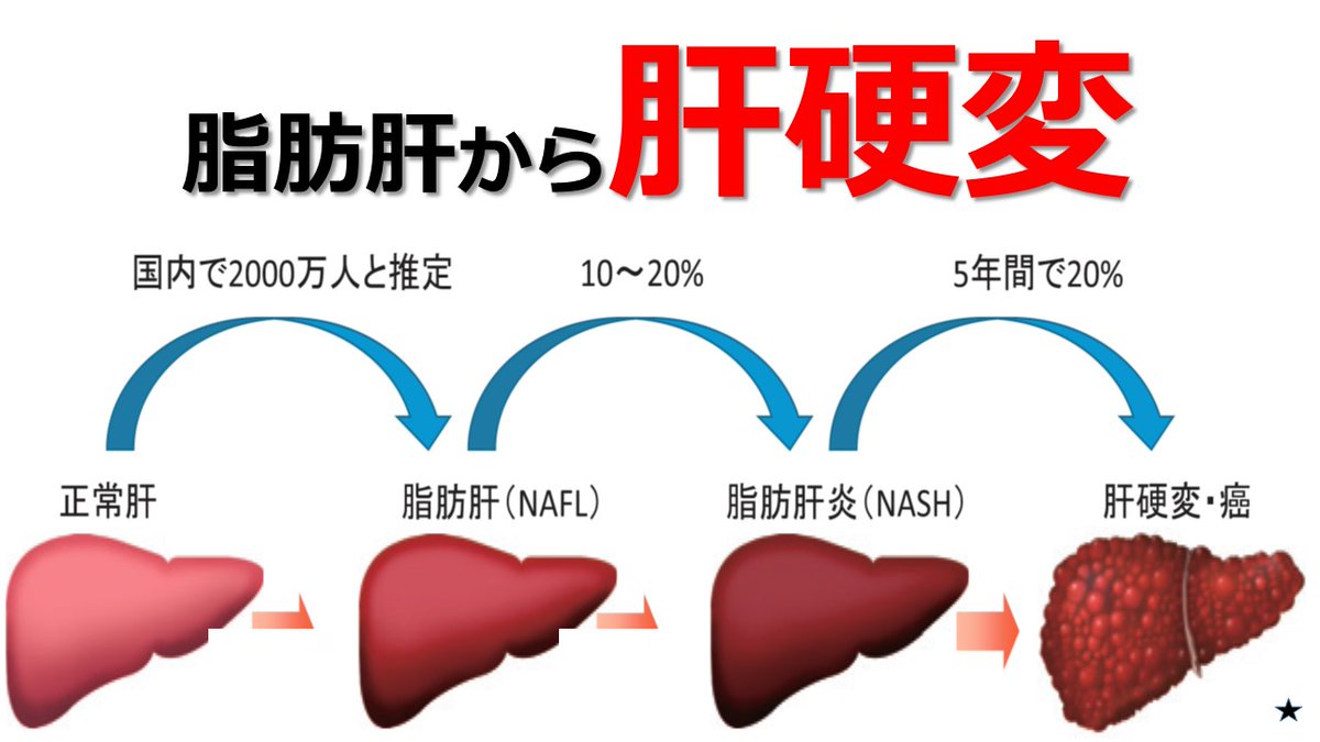 居酒屋の倒産がコロナ禍超えで空前のブーム。居酒屋に人がいない  [633746646]\n_1