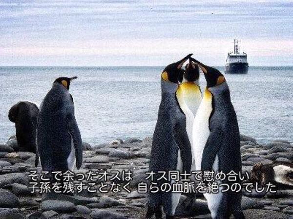 日本人、QBハウスに6時間並ぶ…  [667744927]
_169_169