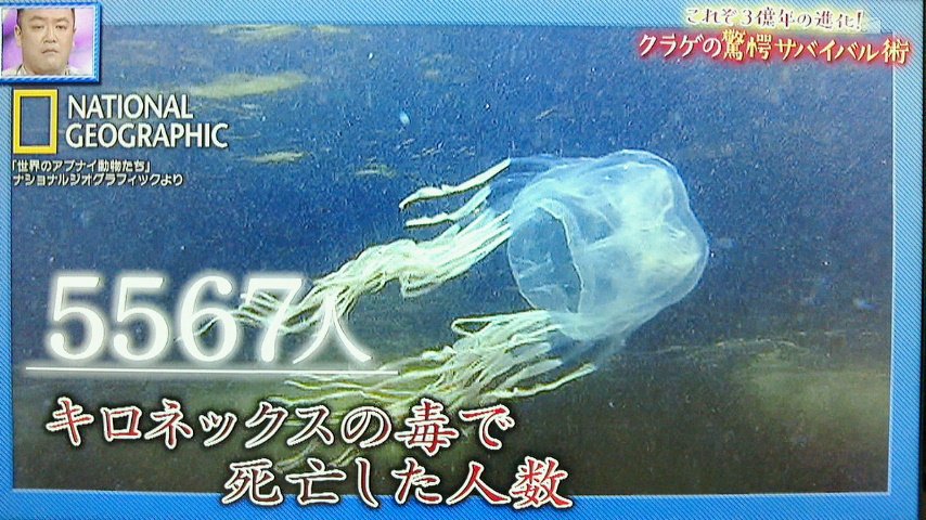 オーストラリア　周辺に敵国がない、広大な土地、豊富な資源、こいつが未だ人口2000万人強の弱小国家な理由  [483862913]
_180_180
