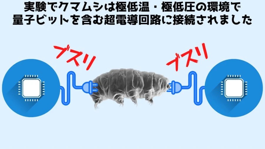 結局「量子もつれ」ってなんなんや?
_45_45